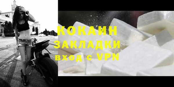 шишки Ростов