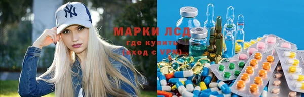 крисы Абдулино