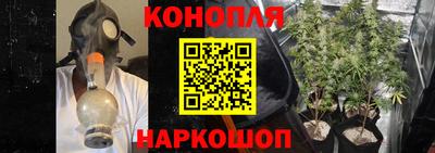 мдпв Дмитров