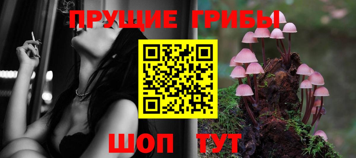 Псилоцибиновые грибы мухоморы Искитим